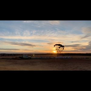 Meet your Posher, Pippa